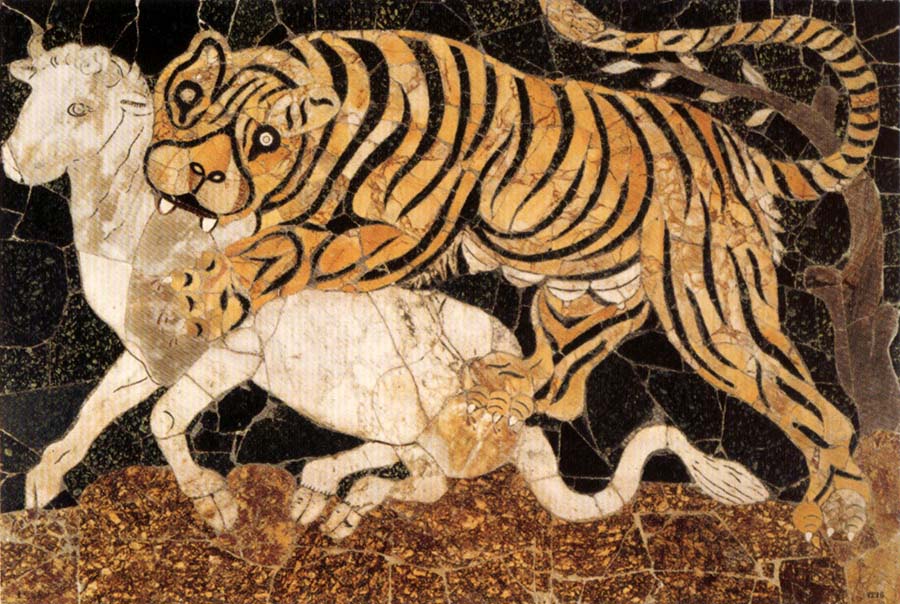 Tiger Attacking a Bull